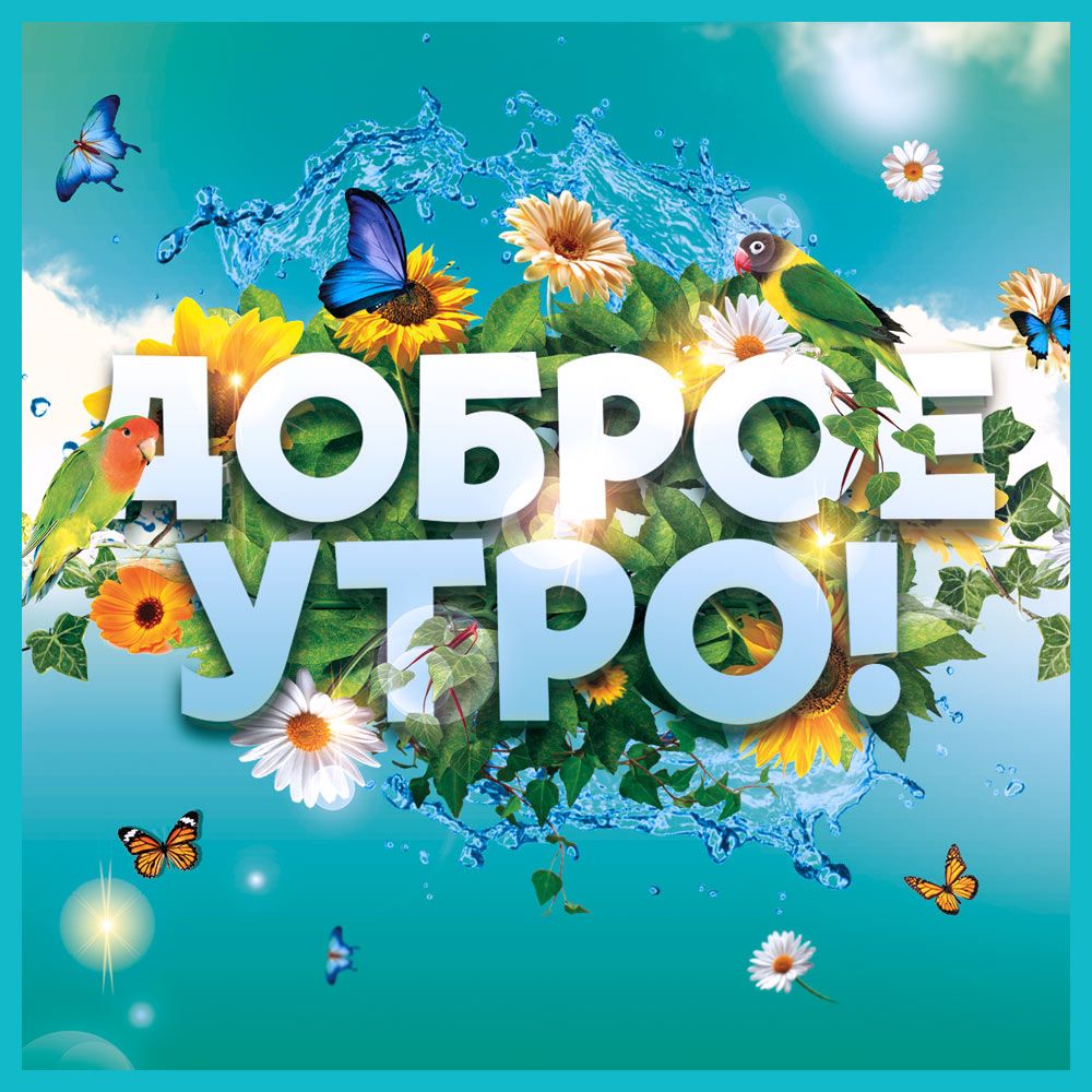 Доброе летнее утро августа - фото 2023 (17)