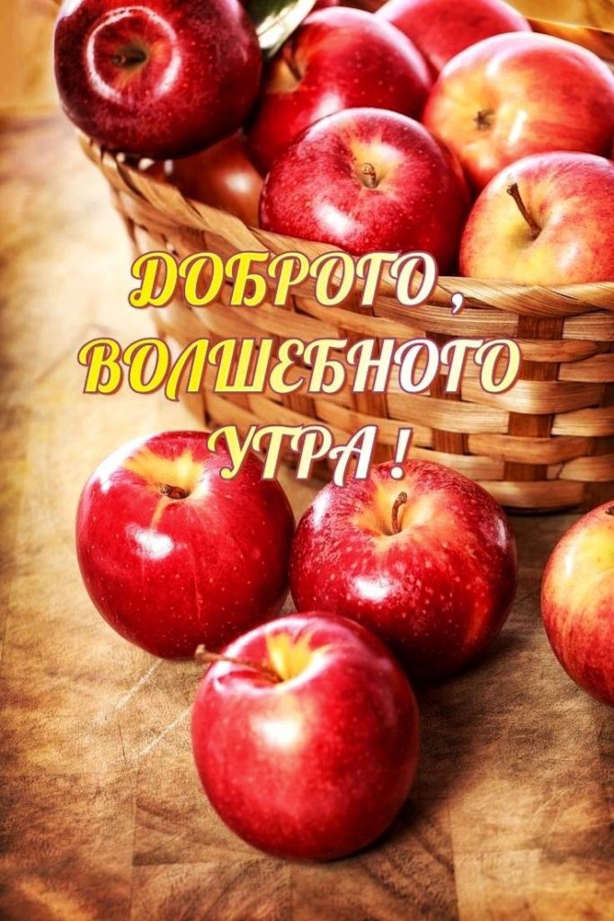 Доброе летнее утро августа - фото 2023 (18)