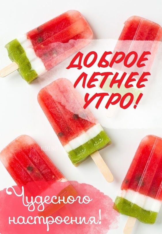 Доброе летнее утро августа - фото 2023 (4)