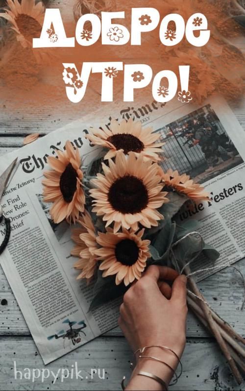 Доброе летнее утро августа - фото 2023 (6)