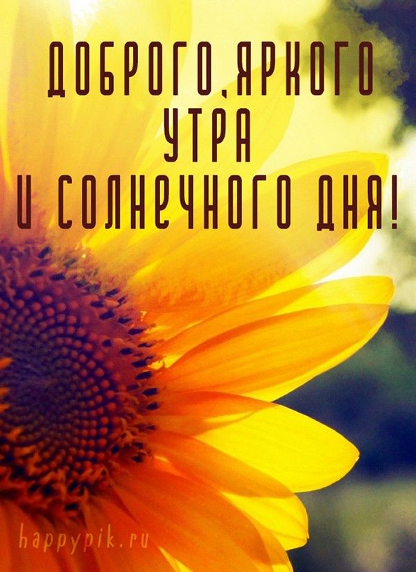 Доброе летнее утро августа - фото 2023 (8)