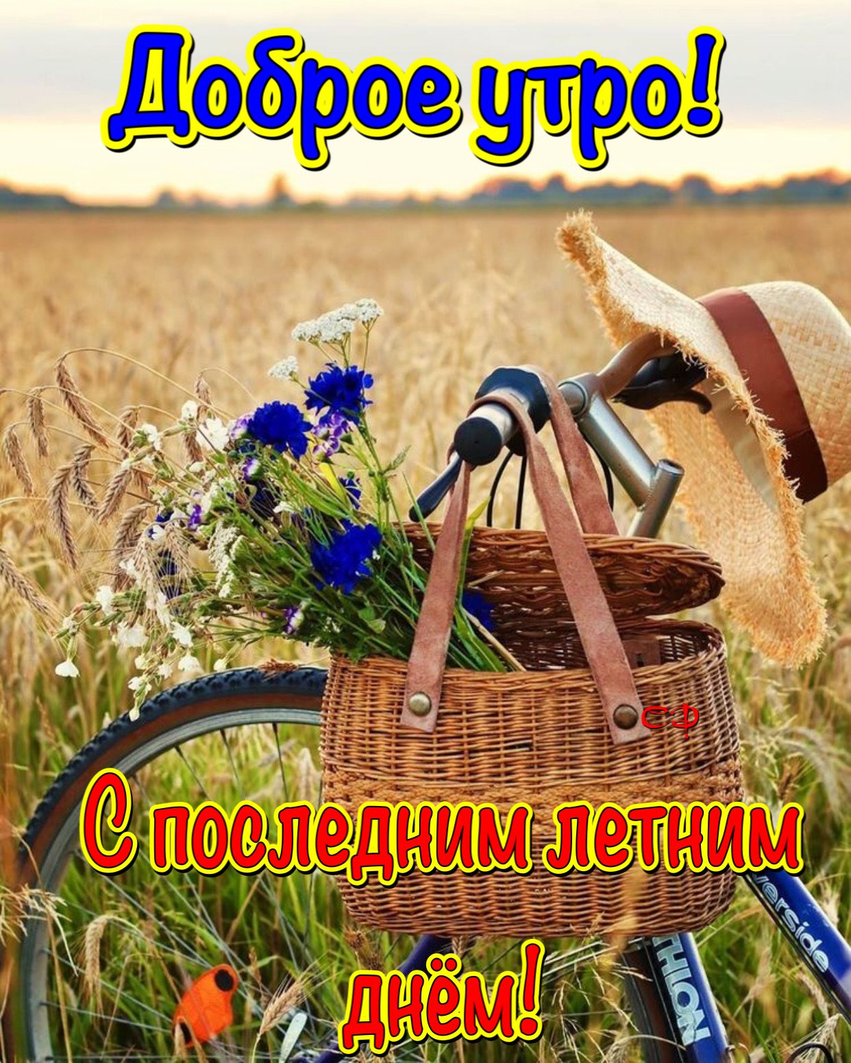 Июль начался. Утро лето. Доброе августовское утро. Доброе утро лето. Доброе августовское утро с природой.