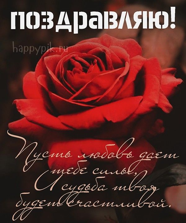 Красивые открытки с розами фото (3)