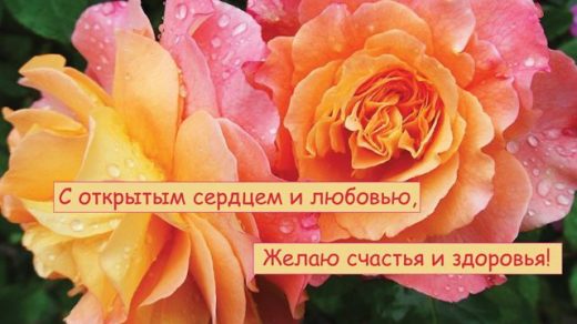 Красивые открытки с розами фото (4)