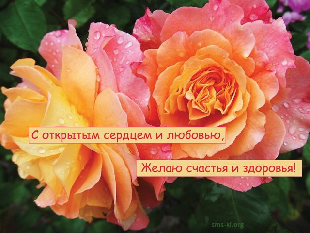 Красивые открытки с розами фото (4)