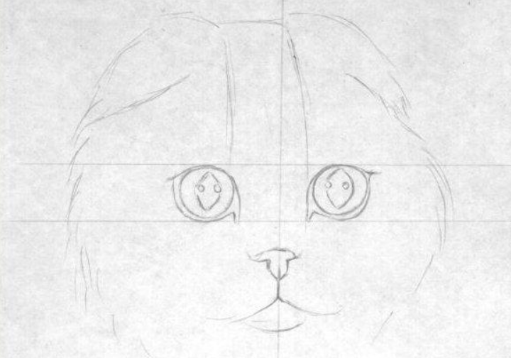 Прикольные картинки котов карандашом для срисовки (1)