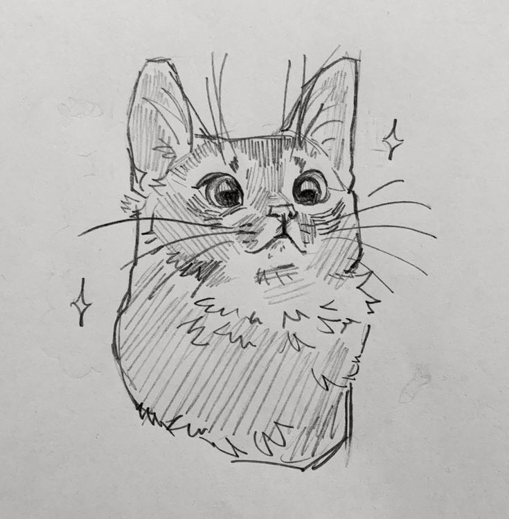 Прикольные картинки котов карандашом для срисовки (13)