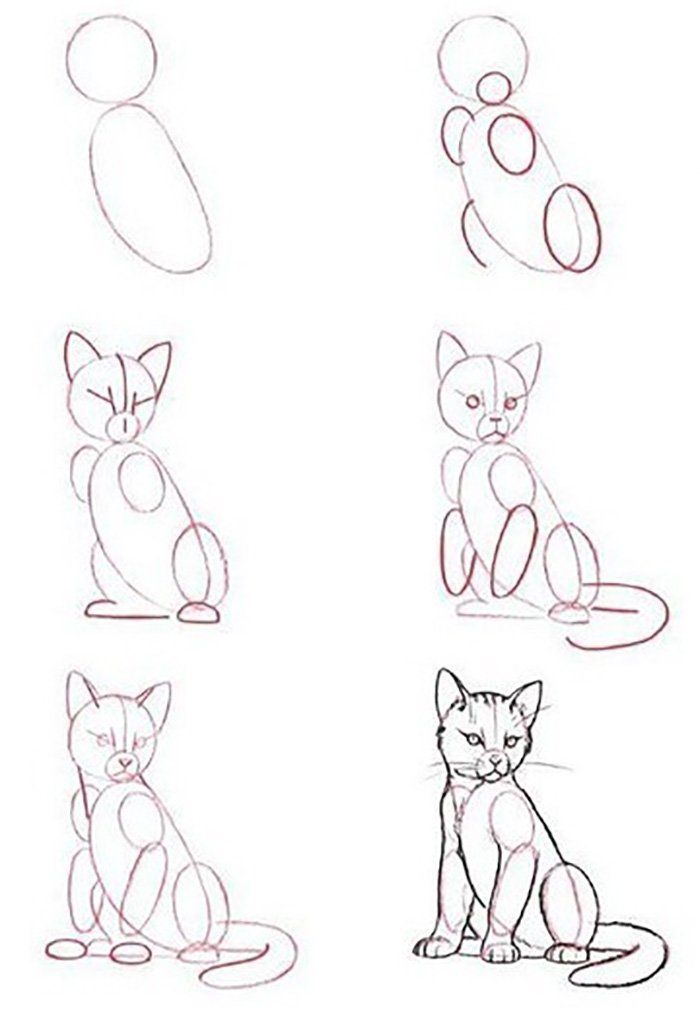 Прикольные картинки котов карандашом для срисовки (15)