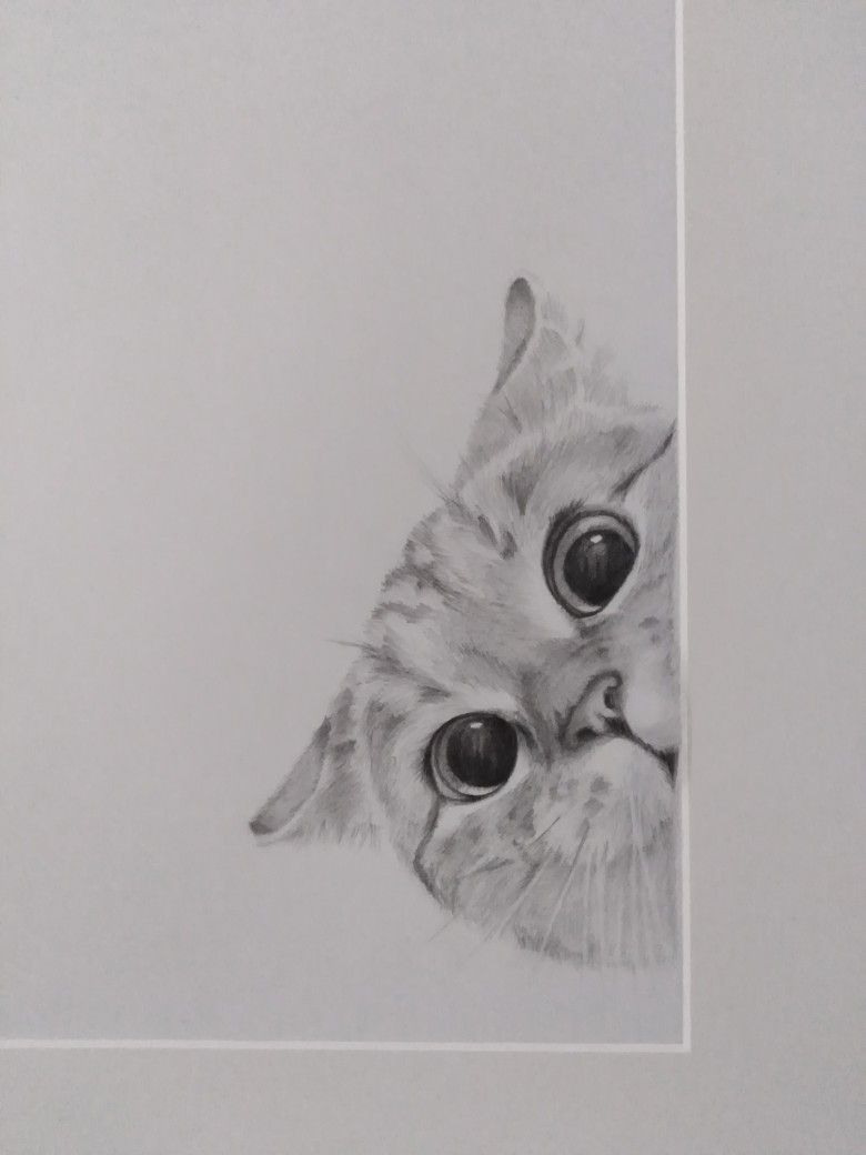Прикольные картинки котов карандашом для срисовки (17)