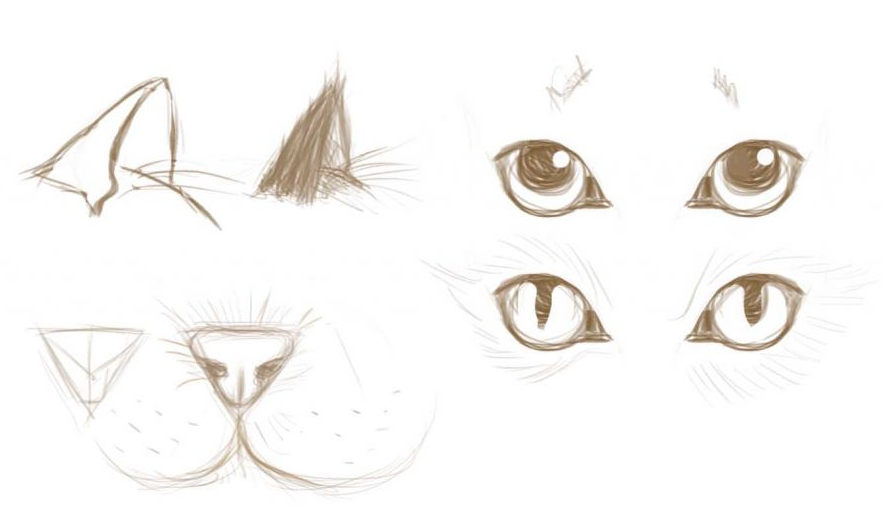 Прикольные картинки котов карандашом для срисовки (2)
