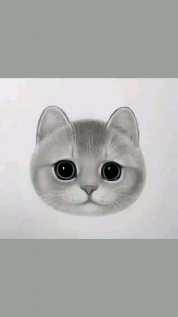 Прикольные картинки котов карандашом для срисовки (3)