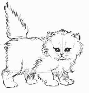 Прикольные картинки котов карандашом для срисовки (5)