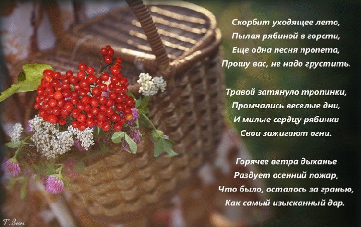 Лето наступило картинки со стихами