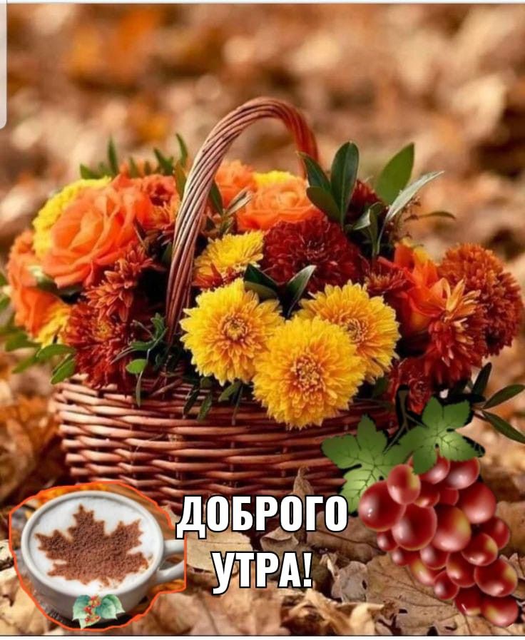Осенний красивый привет в картинках (6)