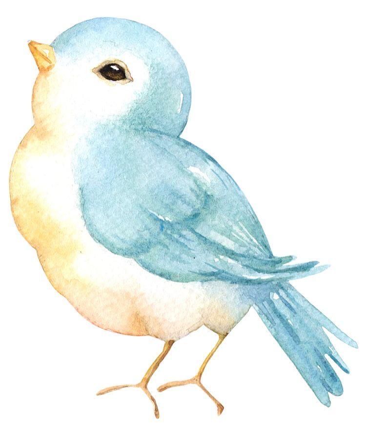 Прикольные картинки птичек для срисовки (3)
