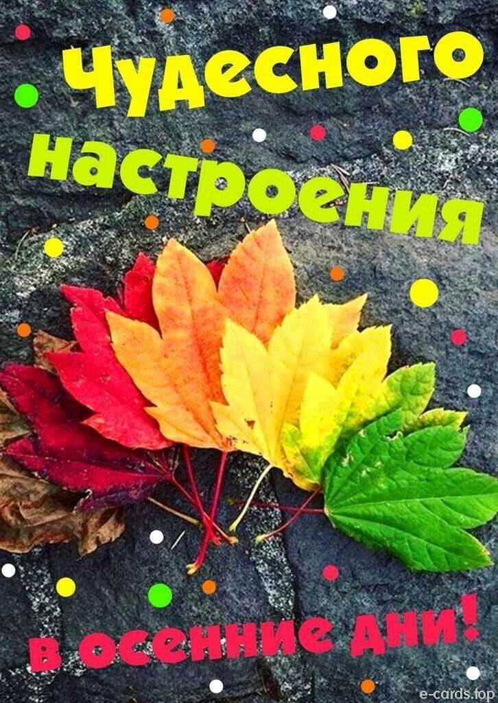 С последним днем октября доброе утро видео. Доброе утро октября красивые. Доброго осеннего дня картинки. Открытки с добрым утром осенние с пожеланиями. Доброе утро осень последний день октября.