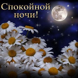 Доброй ночи и сладких снов для любимых на осень (1)