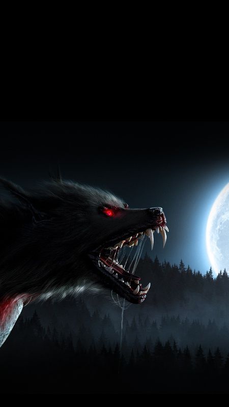 Лучшие фото волка в темноте   сборка (20)