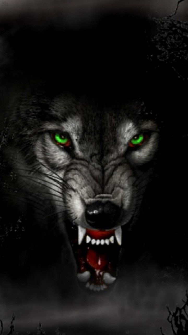 Лучшие фото волка в темноте   сборка (7)
