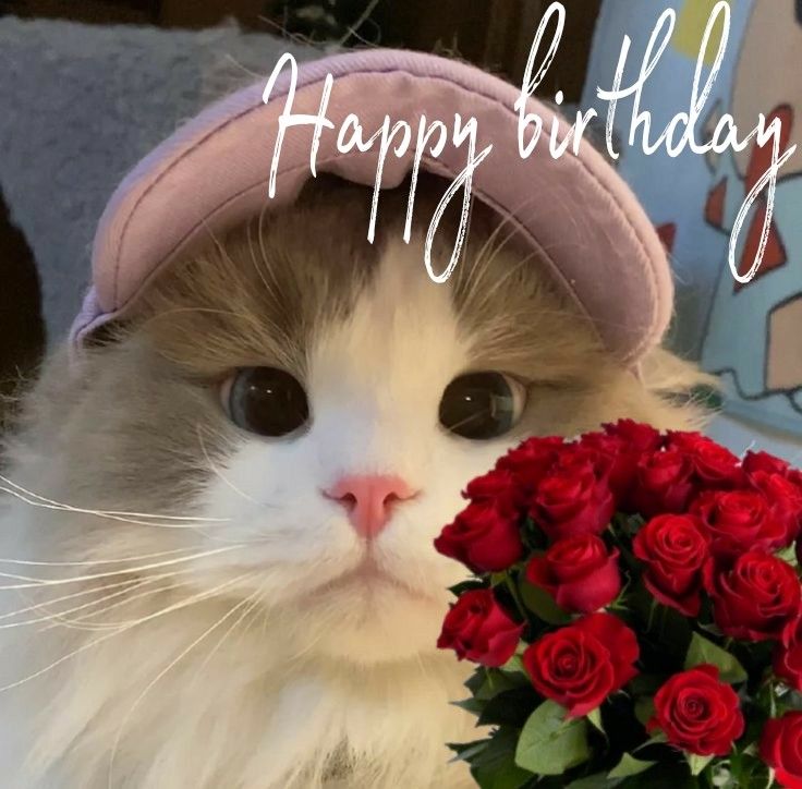 Милые картинки С днем рождения коты (14)