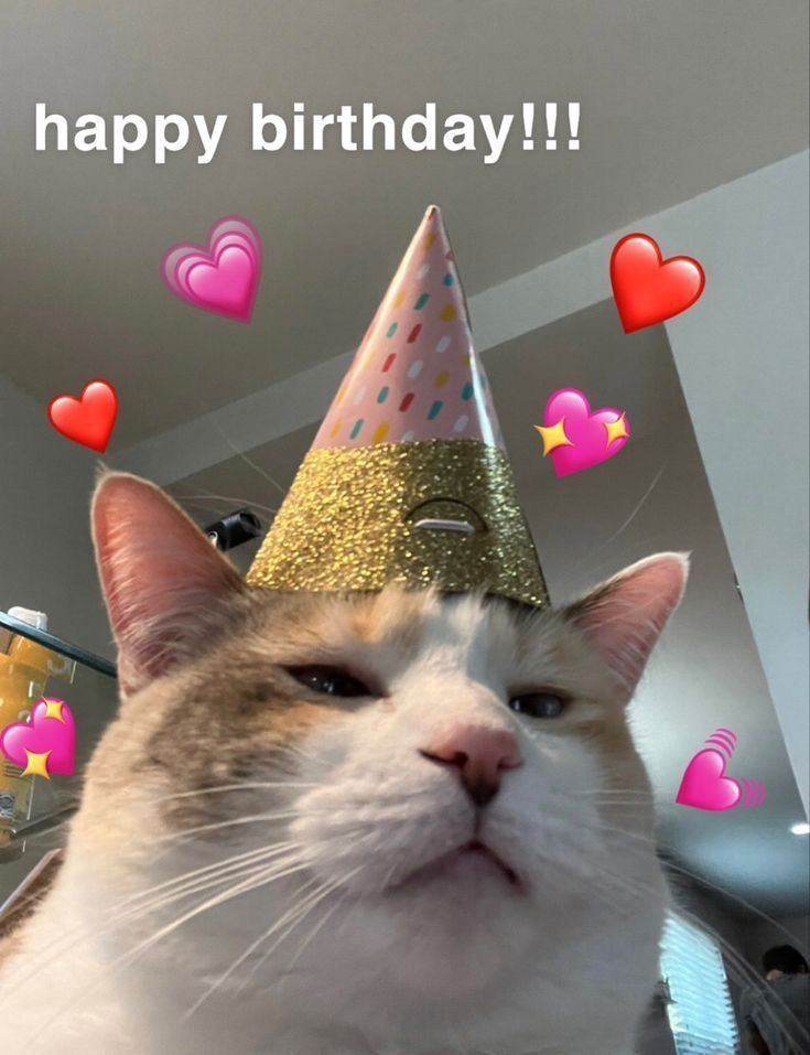 Милые картинки С днем рождения коты (15)