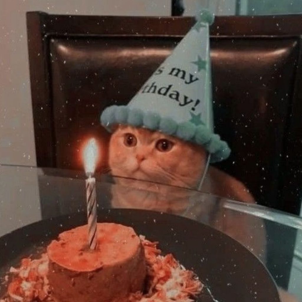 Милые картинки С днем рождения коты (9)
