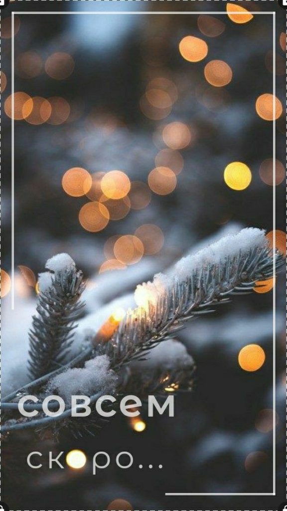 Доброе зимнее утро декабря 2023 - красивые открытки (5)
