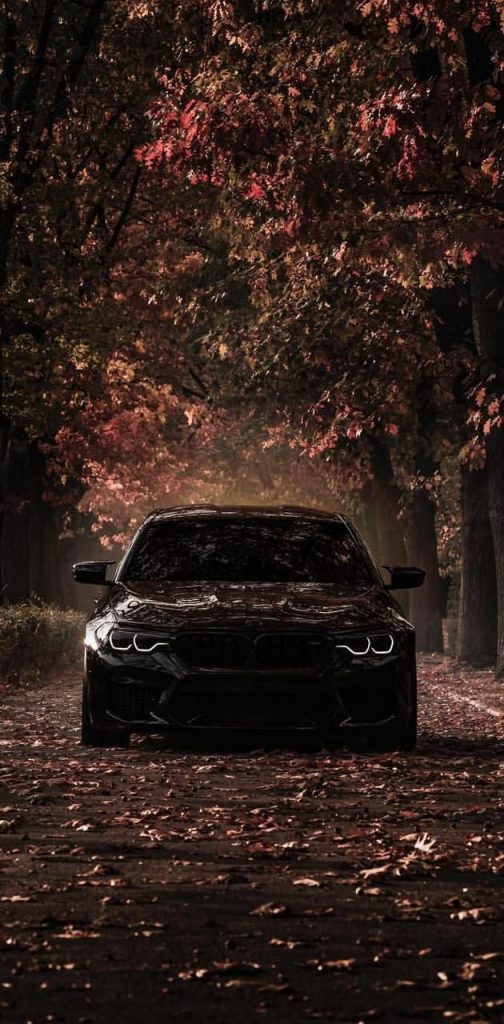 Лучшие картинки BMW скачать на телефон за 2024 год (11)