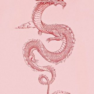 Топовые картинки дракона для заставки телефона (33)