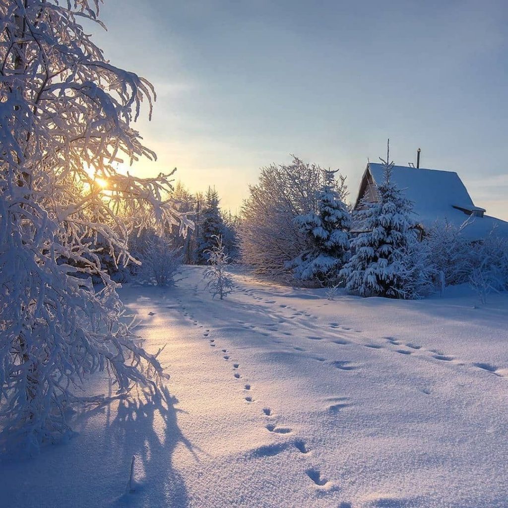 Доброе утро зима - картинки и фото для друзей (6)