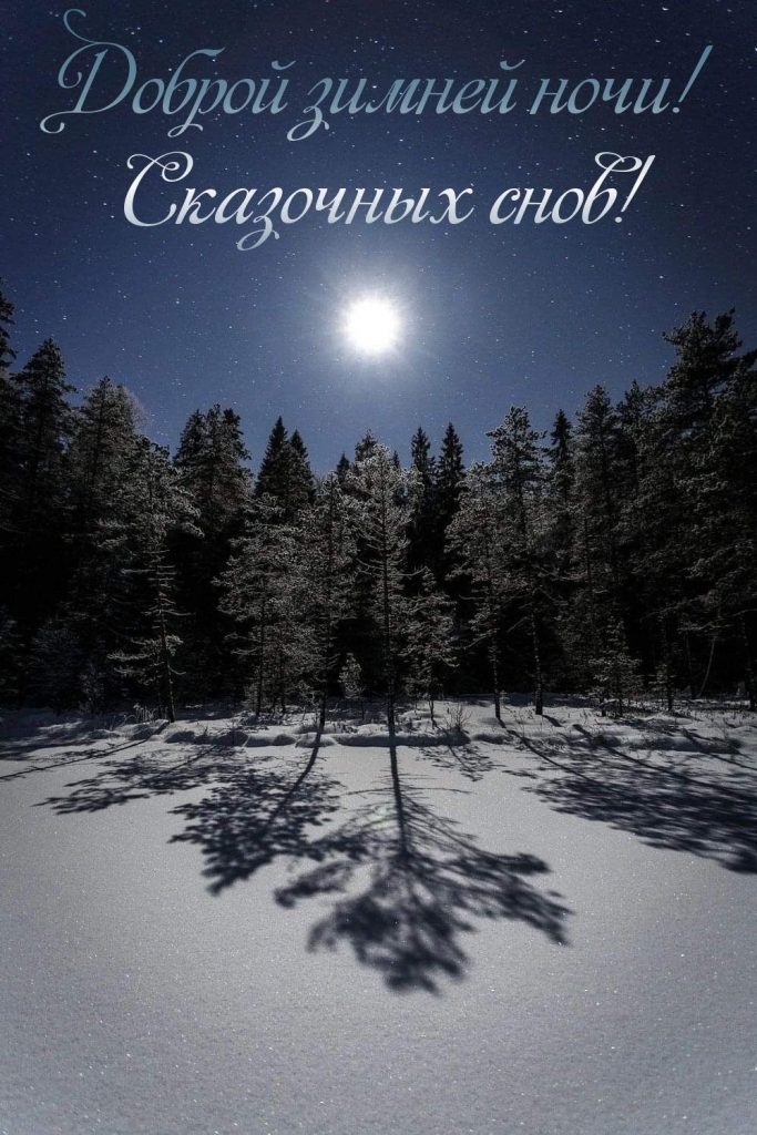Доброй ночи зимы 2024 - картинки и открытки (15)