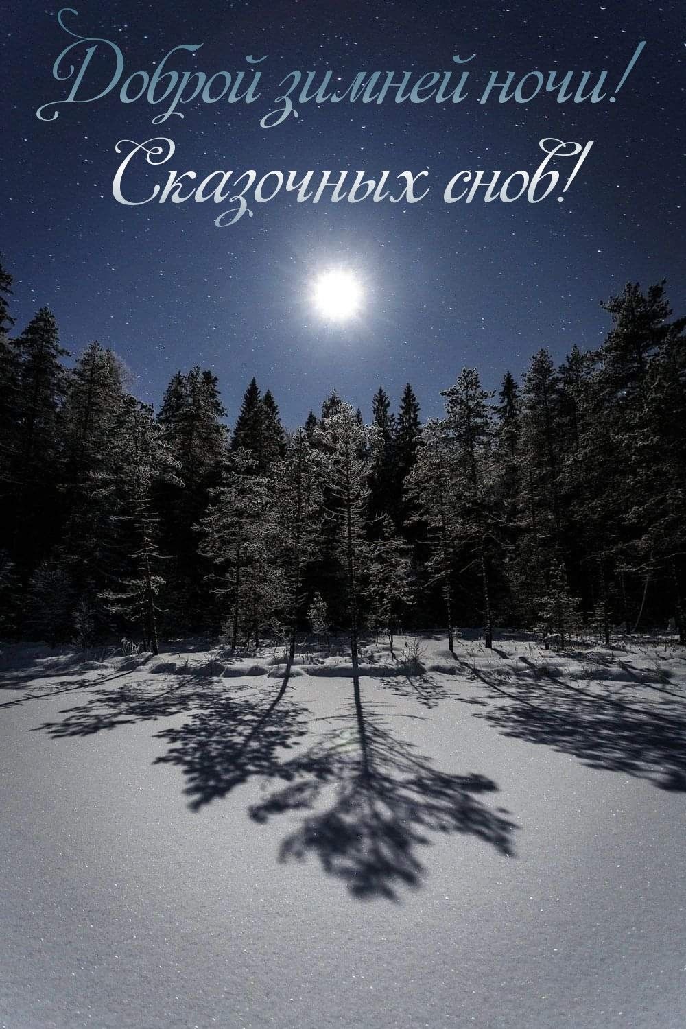 Доброй ночи зимы 2024   картинки и открытки (15)