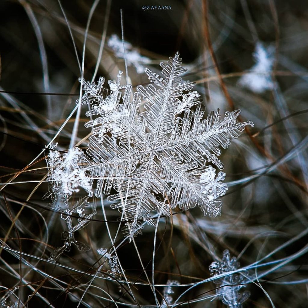 Красивые картинки 'Снег идет - Зима' (5)