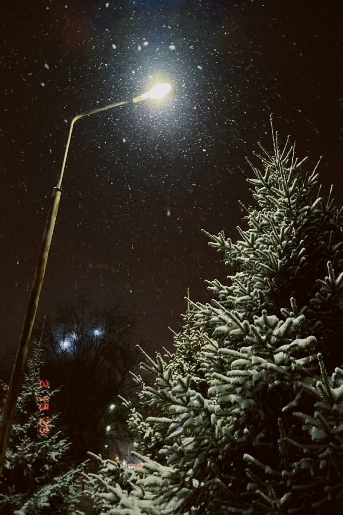 Красивые картинки 'Снег идет - Зима' (6)