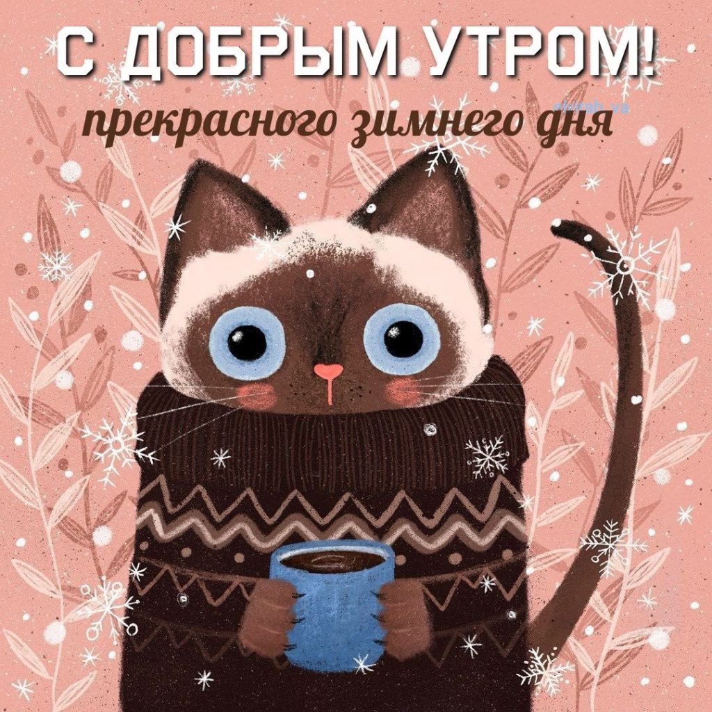 Красивые открытки на утро зимы 'Доброе утро, брату' (7)