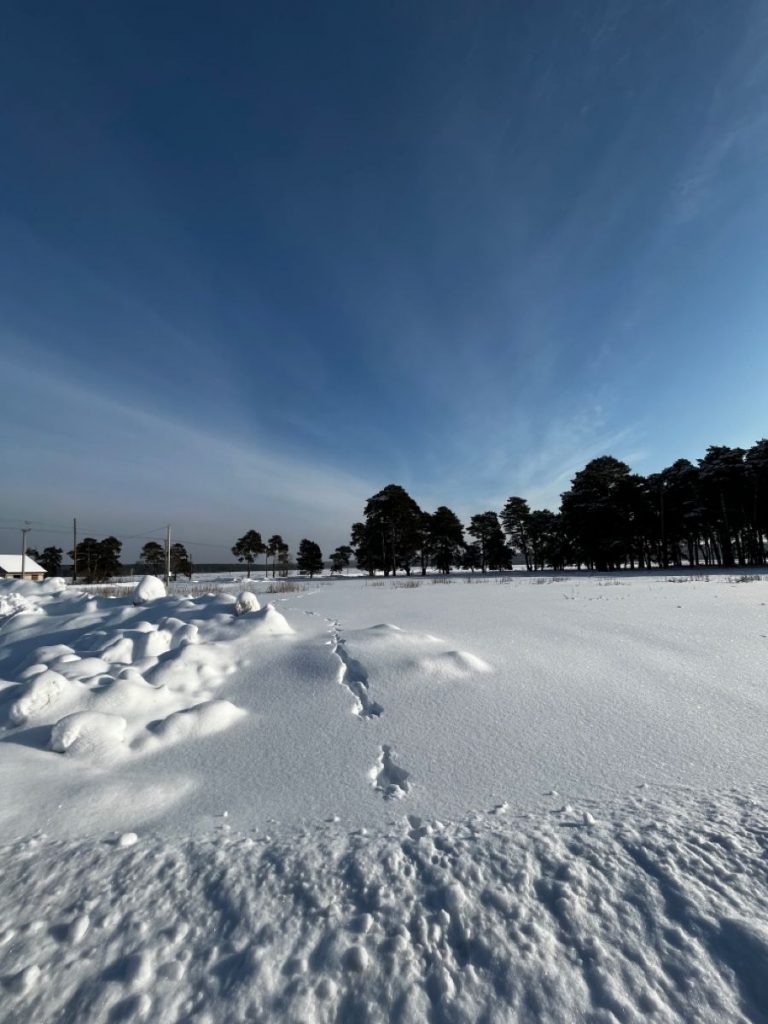 Небо зимой - красивые картинки и фото обои (11)