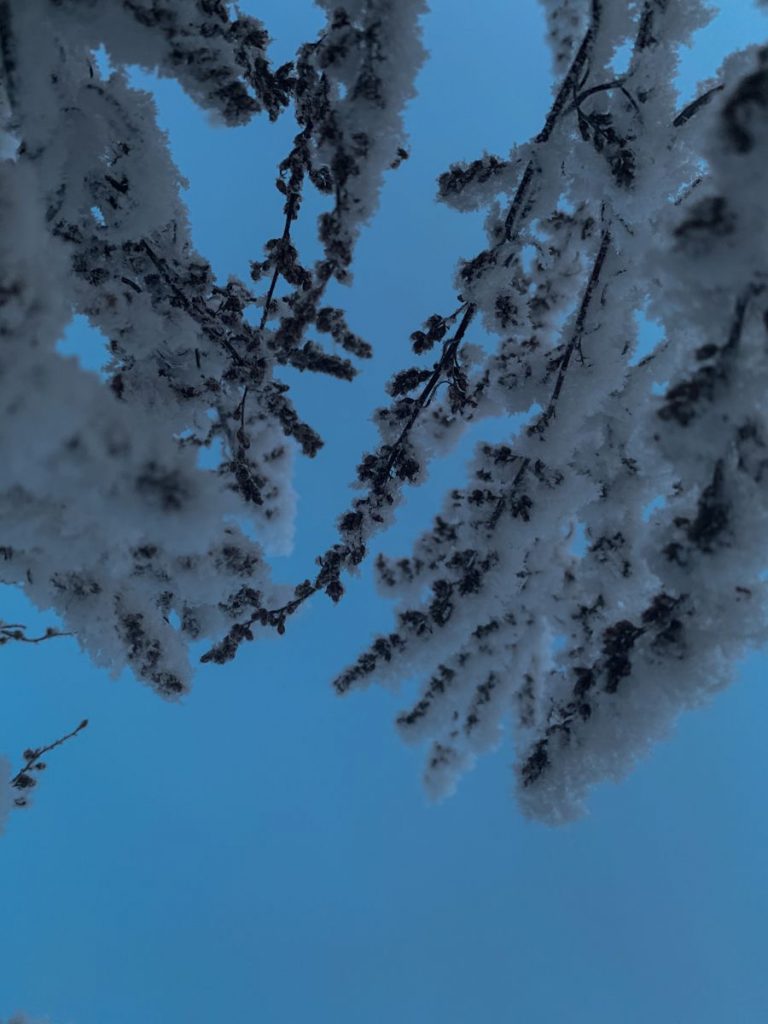 Небо зимой - красивые картинки и фото обои (14)