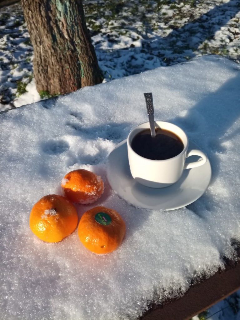 Радостного настроения - картинки со снегом на утро зимы декабря (7)