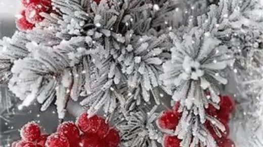 С Добрым утром зима!   теплые и снежные картинки 2024 (10)