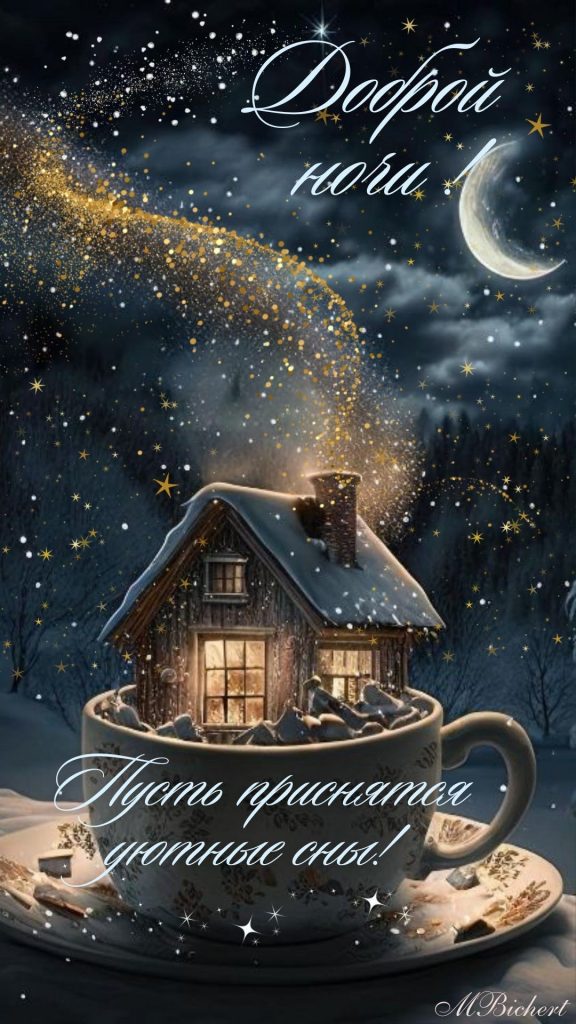 Уютного зимнего вечера - приятных и добрых снов (19)