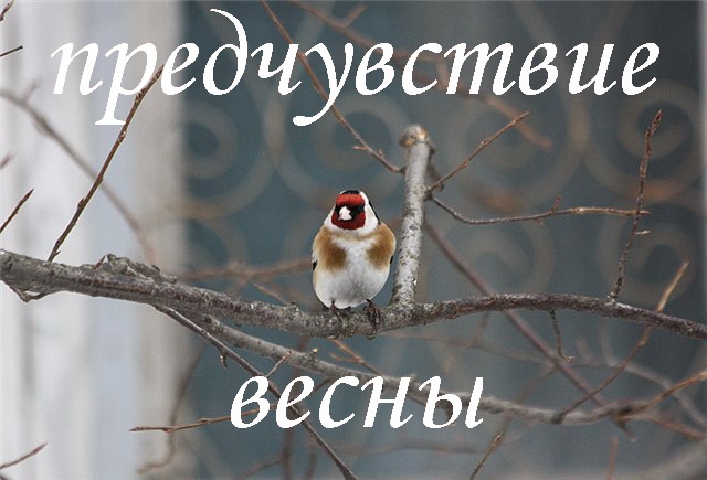 Песня еще не скоро до весны. Доброе утро скоро весн.