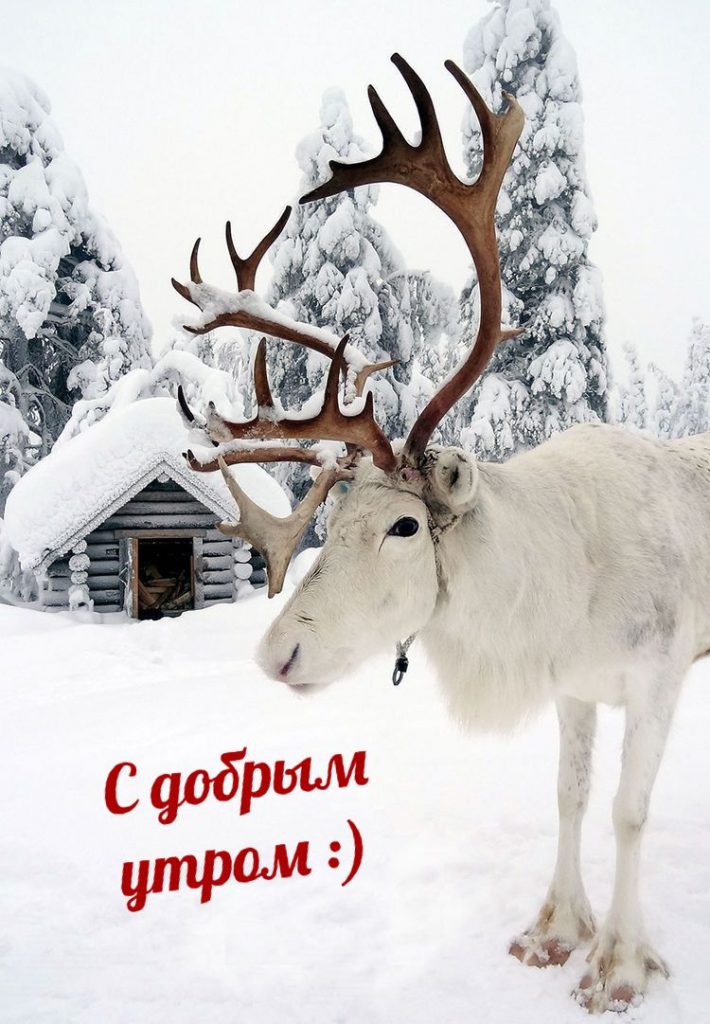 Желаю большой удачи на снежное утро зимы январь - открытки 2024 (16)