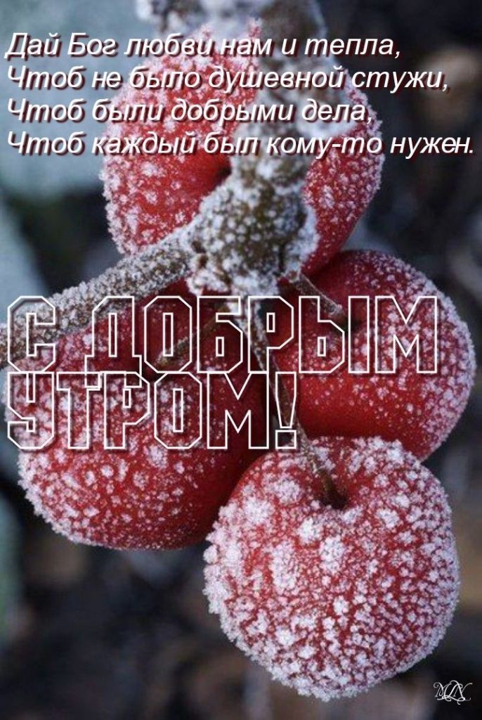 Пожелания доброго зимнего утра января 2024 в открытках (20)