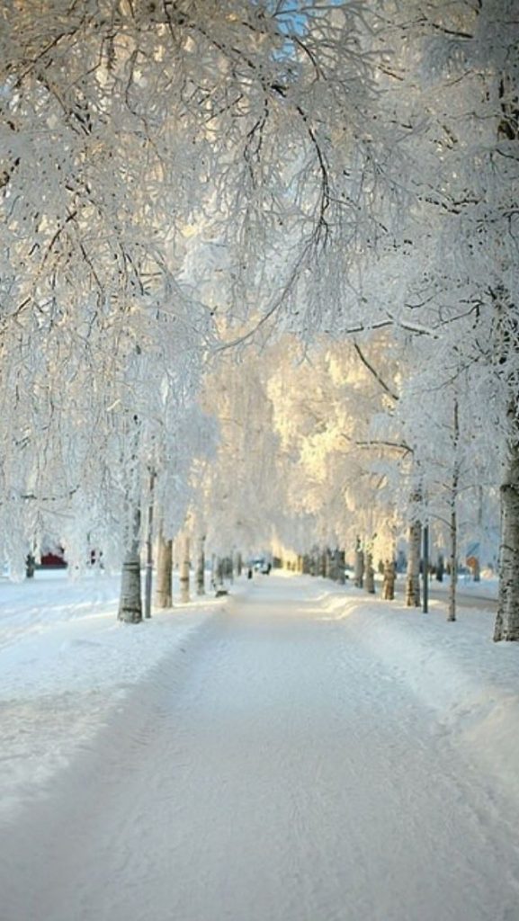 Прекрасного зимнего утра желаем! Пора вставать - сборка картинок (7)