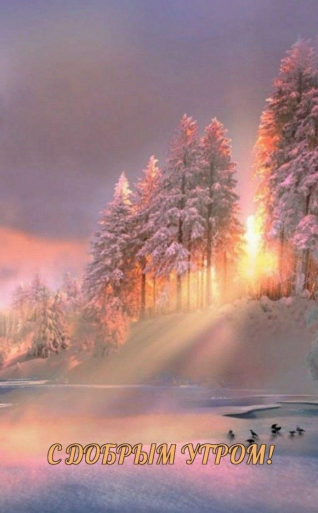 Пусть ваше утро зимы будет теплым и чудесным - картинки (12)