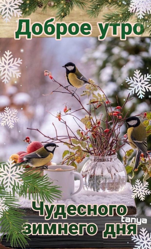 Снег за окном - теплые и нежные открытки на утро января (6)