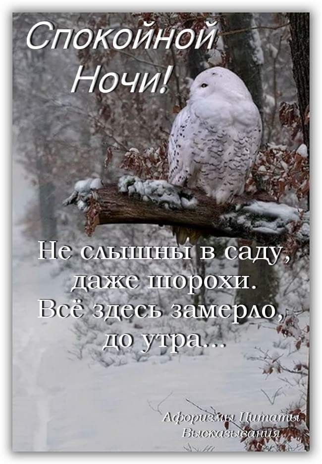 Спокойных снов и доброй ночи зима   картинки (25)