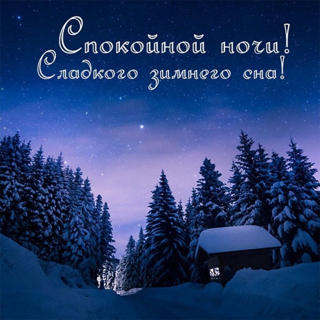 Успокаивающих и приятных снов - открытки доброй ночи зимы (21)