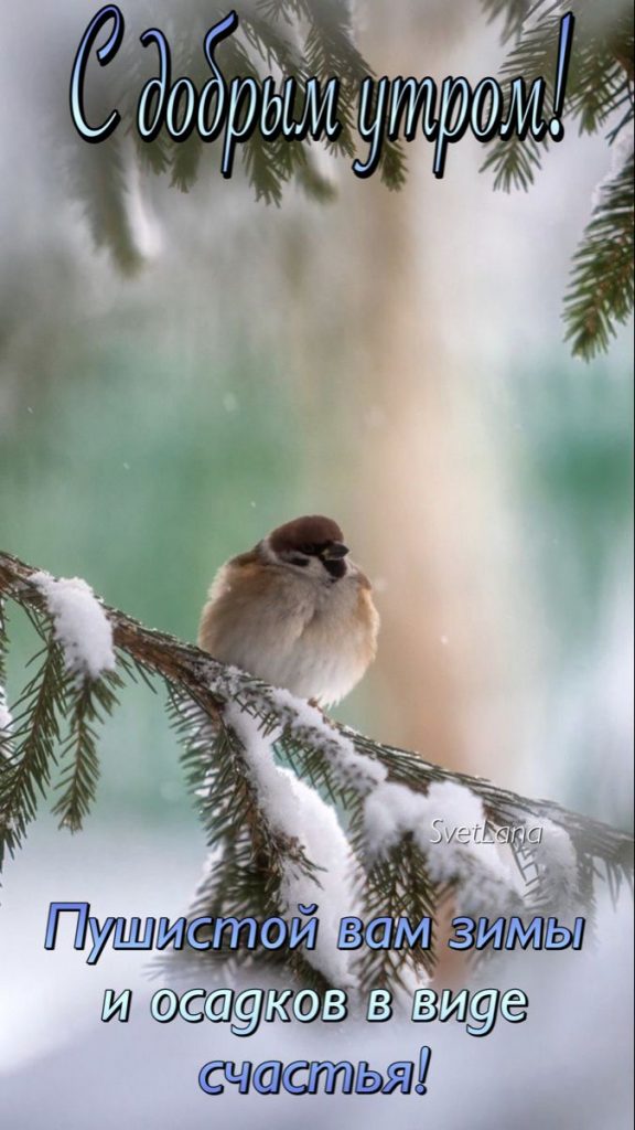 Фото Доброе Утро зима красивое (9)