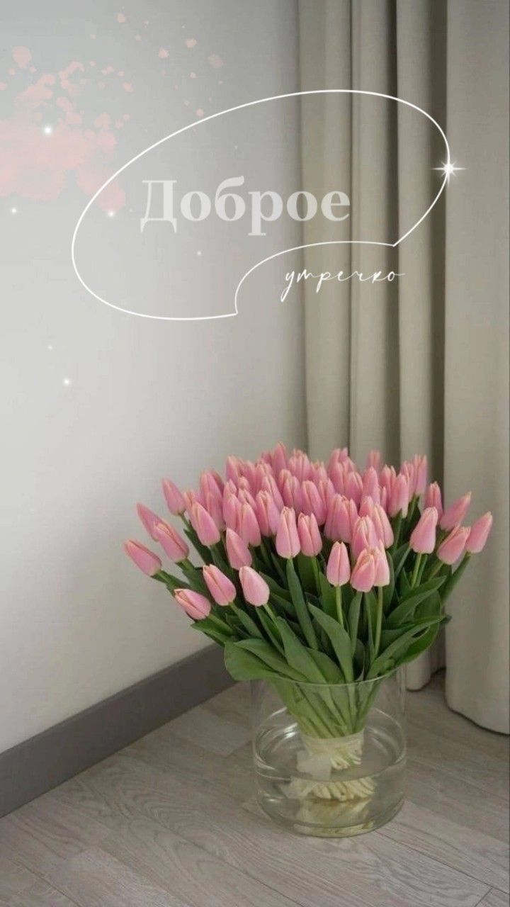 Открытки с добрым утром весны с тюльпанами (4)
